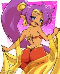 shantae_(character), shantae, 1girls, armwear, ass