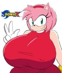 amy_rose, sonic_(series), sonic_x, momiji_(artist), 1female