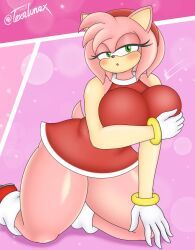 amy_rose, sega, sonic_(series), sonic_the_hedgehog_(series), nsfwtalex