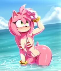 amy_rose, sonic_(series), sonic_the_hedgehog_(series), 1lastshadow1, ls