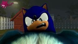 sonic_the_hedgehog, sonic_the_werehog, sonic_(series), sonic_unleashed, killerchidna