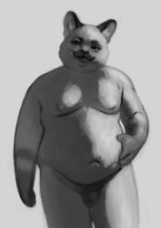 anthro, balls, belly, big_belly, chubby-shark