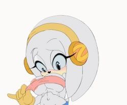 fan_character, original_character, zeta_the_echidna, sonic_(series), sonic_the_hedgehog_(series)