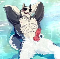 loken_(soulcreek), cat_n1p, abs, animal_genitalia, anthro