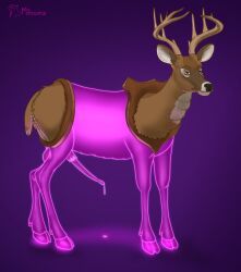 monocerus, 4_legs, animal_genitalia, animal_penis, animate_inanimate
