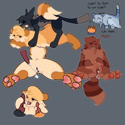 bluestar_(warriors), darkstripe_(warriors), firestar_(warriors), goldenflower_(warriors), tigerstar_(warriors)