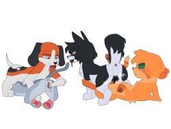 warriors_(cats), ambiguous_gender, canid, canine, canis