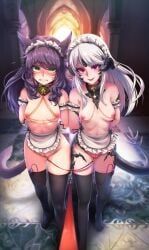 altana_tumet, au_ra, leti_moonreaver, miqo'te, xaela