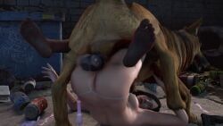 dogmeat, juli_kidman, fallout, the_evil_within, 0zmann
