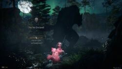 ciri, cd_projekt_red, the_witcher_(series), the_witcher_3:_wild_hunt, the_witcher_4