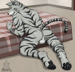 herzog_silverfang, elbestia, anthro, ass, balls