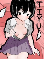adventurer_(toram_online), toram_online, tutorial_angel, 1girls, black_hair