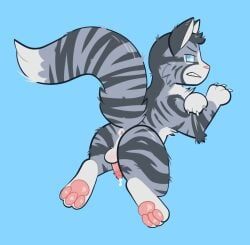 jayfeather_(warriors), warriors_(cats), catboyjail, animal_genitalia, anus