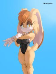 vanilla_the_rabbit, sega, sonic_(series), soranygy, anthro