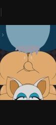 rouge_the_bat, sonic_the_hedgehog, sonic_the_werehog, beat_banger, sonic_(series)