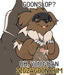 pinnip_(pinnipip), pokemon_(species), zigzagoon, nintendo, pokemon