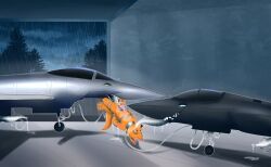 3apa3a, aircraft, airplane, animal_genitalia, animal_penis