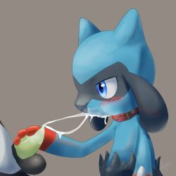 generation_4_pokemon, pokemon_(species), riolu, nintendo, pokemon