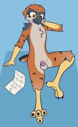 american_kestrel, anthro, avian, balls, beak