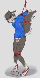 weird_cooper, ac., angry, anthro, arms_tied
