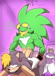 bernadette_hedgehog, jet_the_hawk, wave_the_swallow, sega, sonic_(series)
