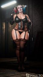 harley_quinn, dc_comics, unknown_artist, 1girls, black_lingerie