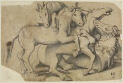 hans_baldung_grien, 1531, ambiguous_feral, ambiguous_gender, animal_genitalia