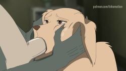 jack_(beastars), legoshi_(beastars), beastars, netflix, bikomation