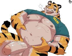 toby_(gh0stfood), bey_293821, anthro, balls, belly