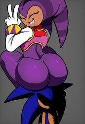 nights, sonic_the_hedgehog, nights_into_dreams, sonic_(series), sonic_the_hedgehog_(series)