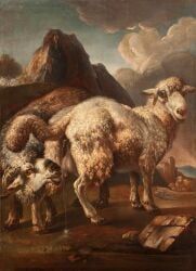 ambiguous_feral, ambiguous_gender, animal_genitalia, animal_vulva, back_teat