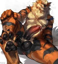 arcanine, generation_1_pokemon, pokemon_(species), nintendo, pokemon