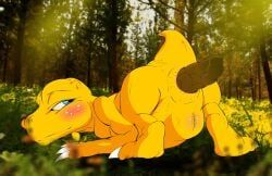 agumon, digimon_(species), bandai_namco, digimon, thecapedmanlloyd
