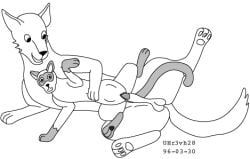 urbanhermit, abdominal_bulge, animal_genitalia, balls, canid