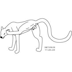 urbanhermit, animal_genitalia, anus, balls, cheetah