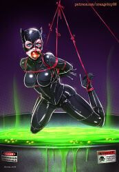 catwoman, selina_kyle, batman_(series), dc, dc_comics