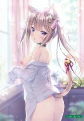 melonbooks, original, shibainu_niki, 1girl, ass