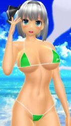 youmu_konpaku, touhou, hati_yukkuri_mmd, beach, big_breasts