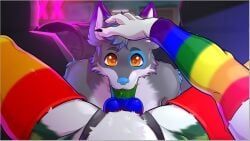 fidget_the_fox, kapralpelikan, anthro, armwear, backseat