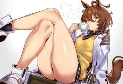 agnes_tachyon_(umamusume), umamusume, ebora, 1girls, animal_ears