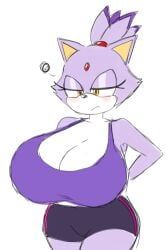 blaze_the_cat, sonic_(series), sonic_the_hedgehog_(archie), sonic_the_hedgehog_(series), momiji_(artist)