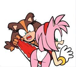 amy_rose, sticks_the_badger, sega, sonic_(series), sonic_boom