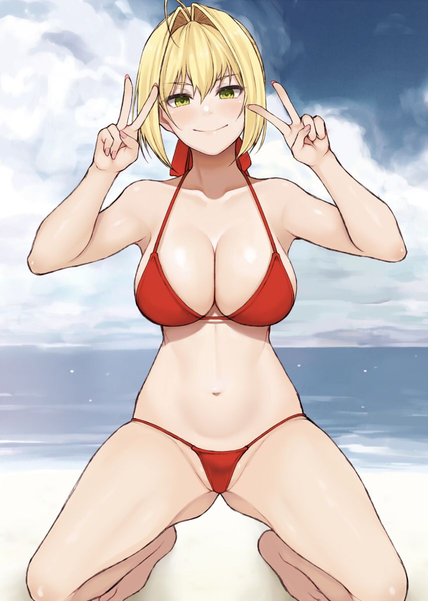 nero_claudius_(fate), fate/grand_order, fate_(series), cocq_taichou, beach