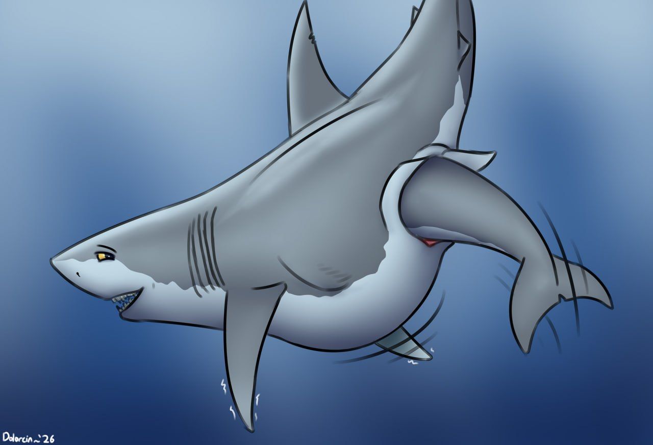discovery_channel, shark_week, dolorcin, animal_genitalia, aquatic