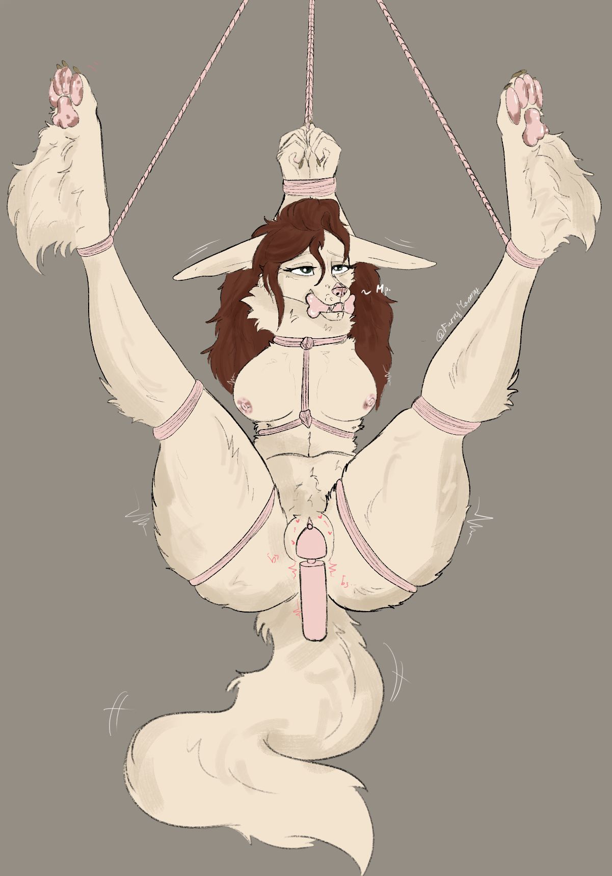 anthro, big_ears, bondage, bound, canid