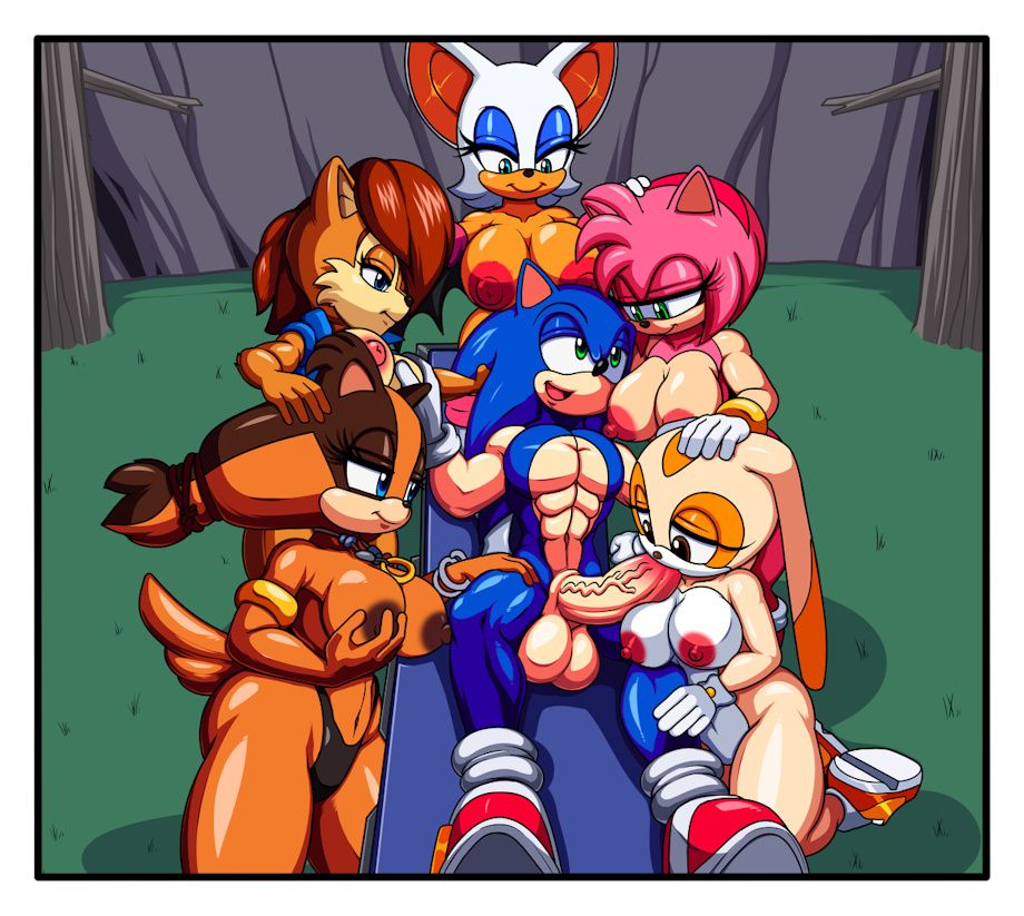 amy_rose, cream_the_rabbit, rouge_the_bat, sally_acorn, sonic_the_hedgehog