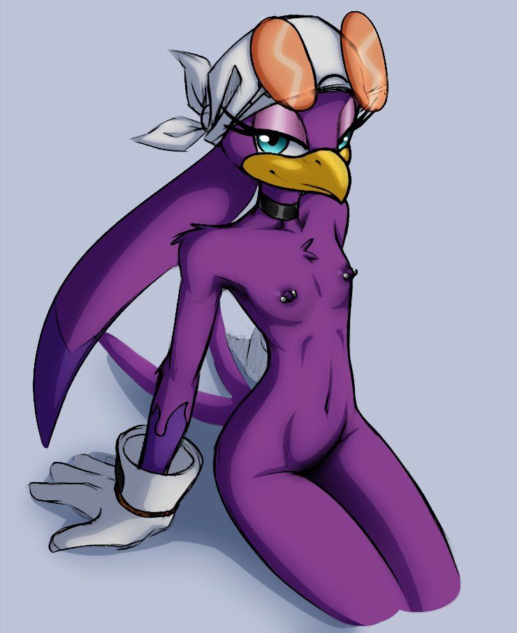 wave_the_swallow, sega, sonic_(series), sonic_riders, sonic_the_hedgehog_(series)