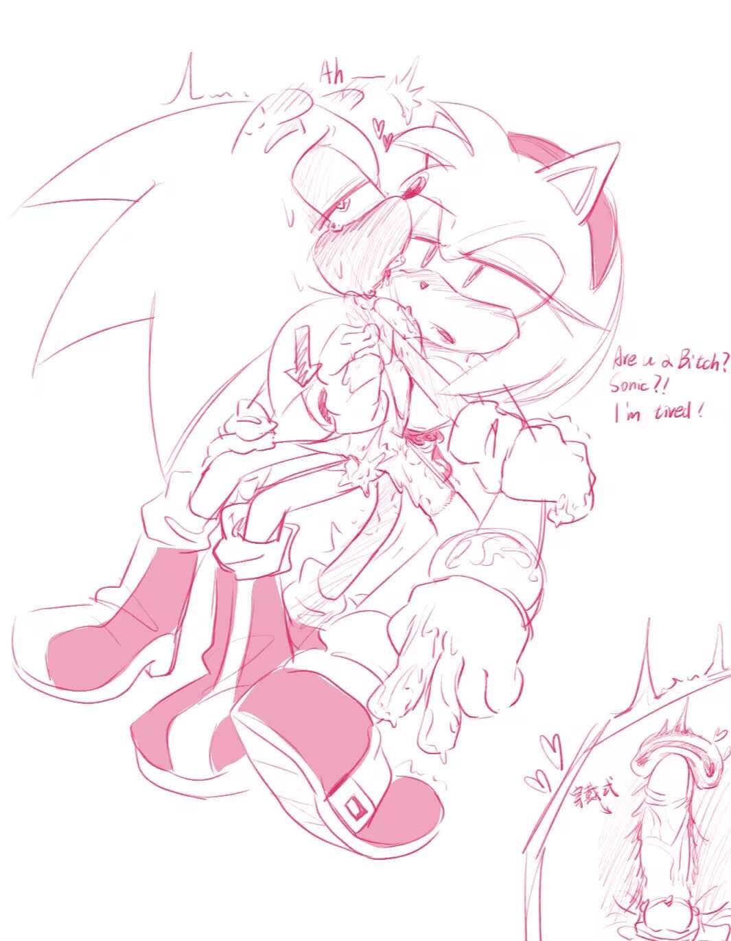 amy_rose, sonic_the_hedgehog, sonic_(series), sonic_the_hedgehog_(series), untaggable_artist