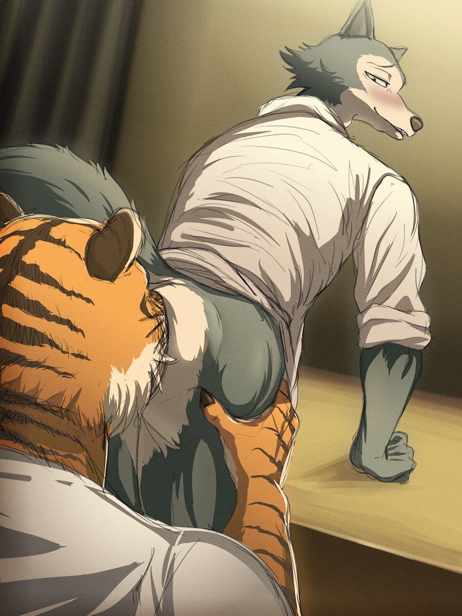 bill_(beastars), legoshi_(beastars), beastars, aizenhower, anal