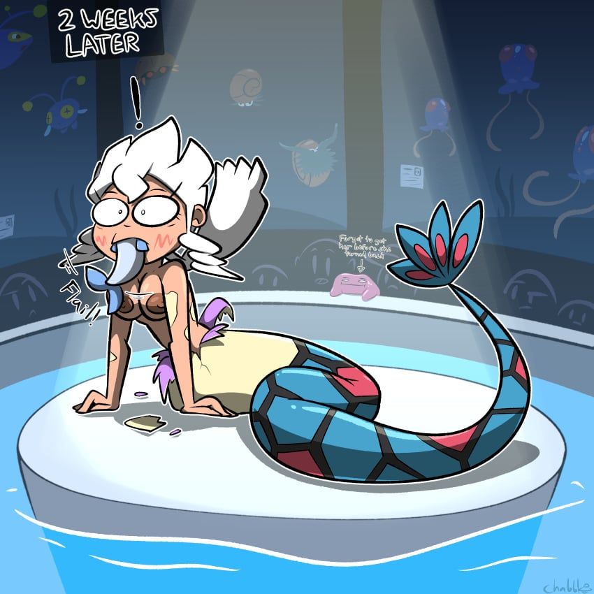 big_ditt_(chabble), burnet_(pokemon), chinchou, ditto, kabuto